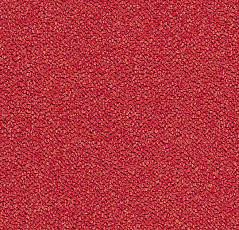 Ковровая плитка Tessera Chroma 3626 Cardinal фото 1 | FLOORDEALER